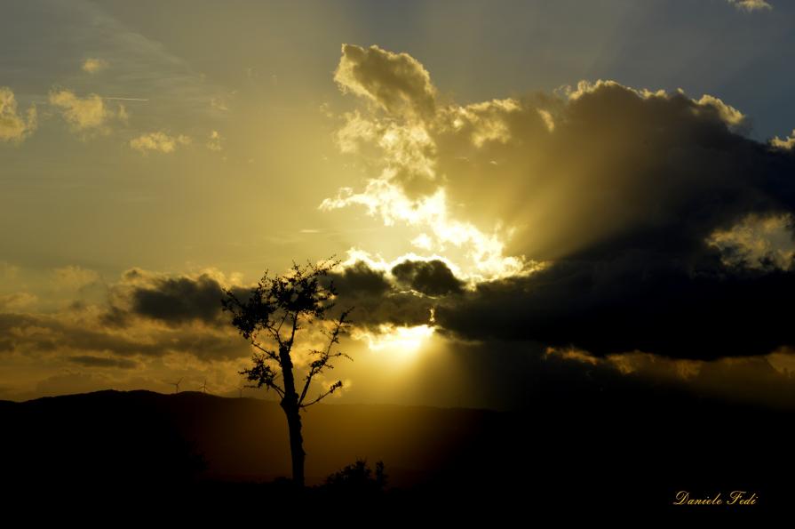 Tramonto in Toscana 101