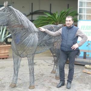 Meraviglioso cavallo , in ferro