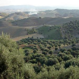 Italy. Calabria. Countryside