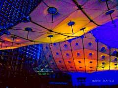 La Defense - Butterflies by night