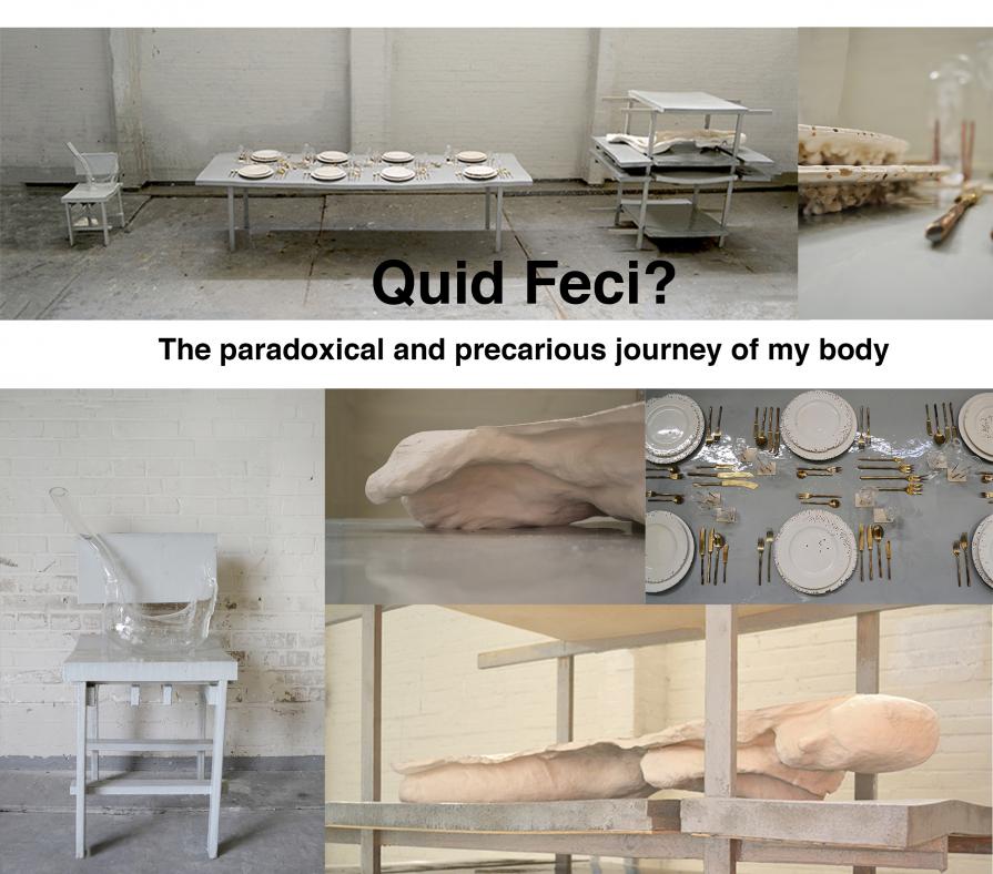 Quid Feci? The paradoxical and precarious journey of my body