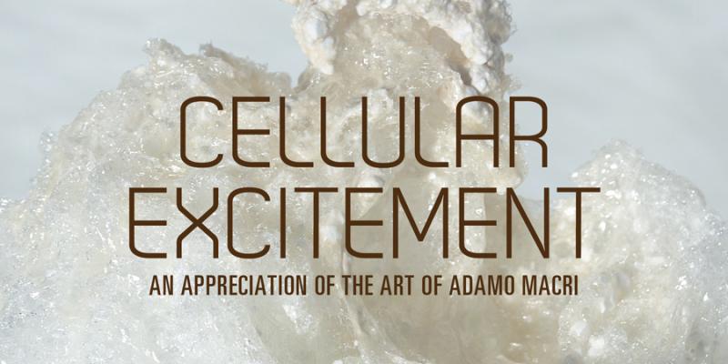 Cellular Excitement: An Appreciation of the Art of Adamo Macri