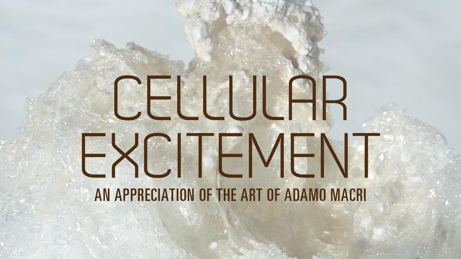 Cellular Excitement: An Appreciation of the Art of Adamo Macri