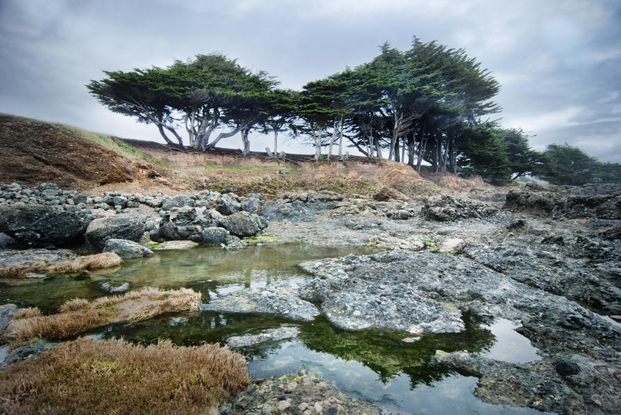 The Sea Ranch