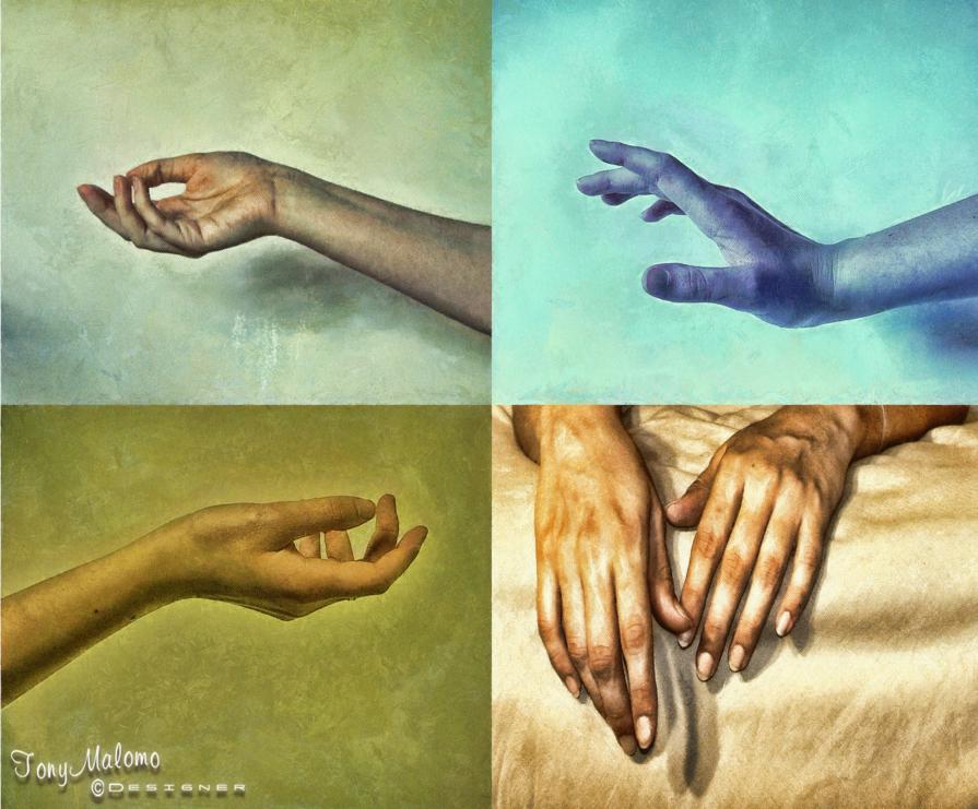 Hands Speak (Body Evidence Series)