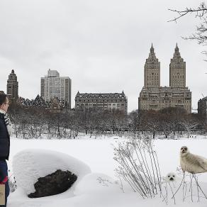 Escaping Central Park