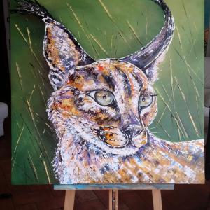 Caracal