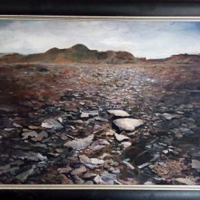 Fields of Mica, Namibian desert