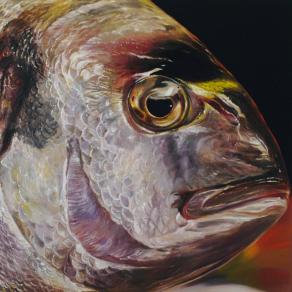 FISCHPORTRAIT