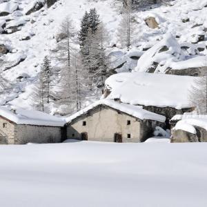 Italy. Val d'Aosta. White and his reflexes