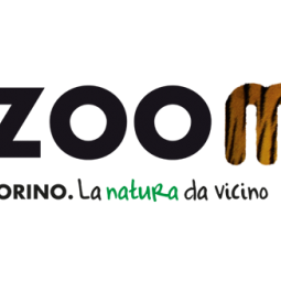 Zoomaginario