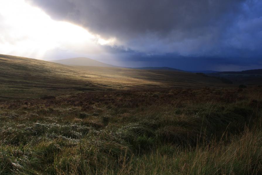 driving through the wicklow mountains