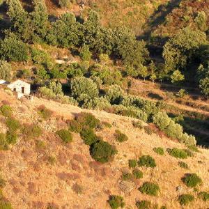 Italy. Calabria. Countryside