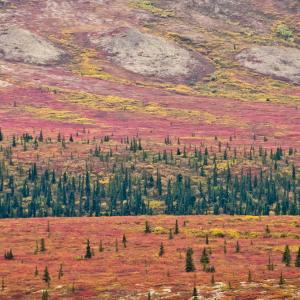 USA. Alaska 2/3. Boundaries and beyond