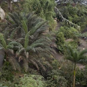 Eden Project, Cornovaglia #3, 2013. From the series Thinking Nature.