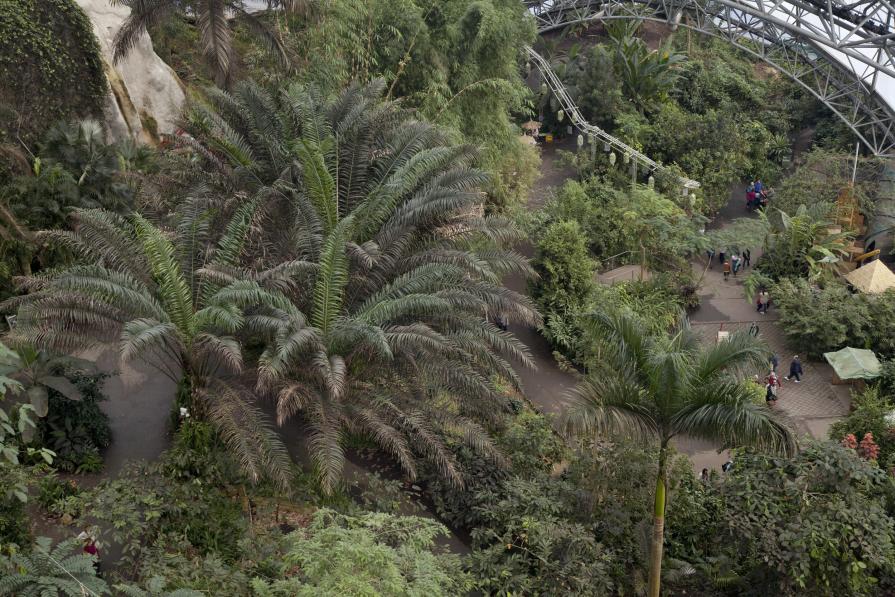 Eden Project, Cornovaglia #3, 2013. From the series Thinking Nature.