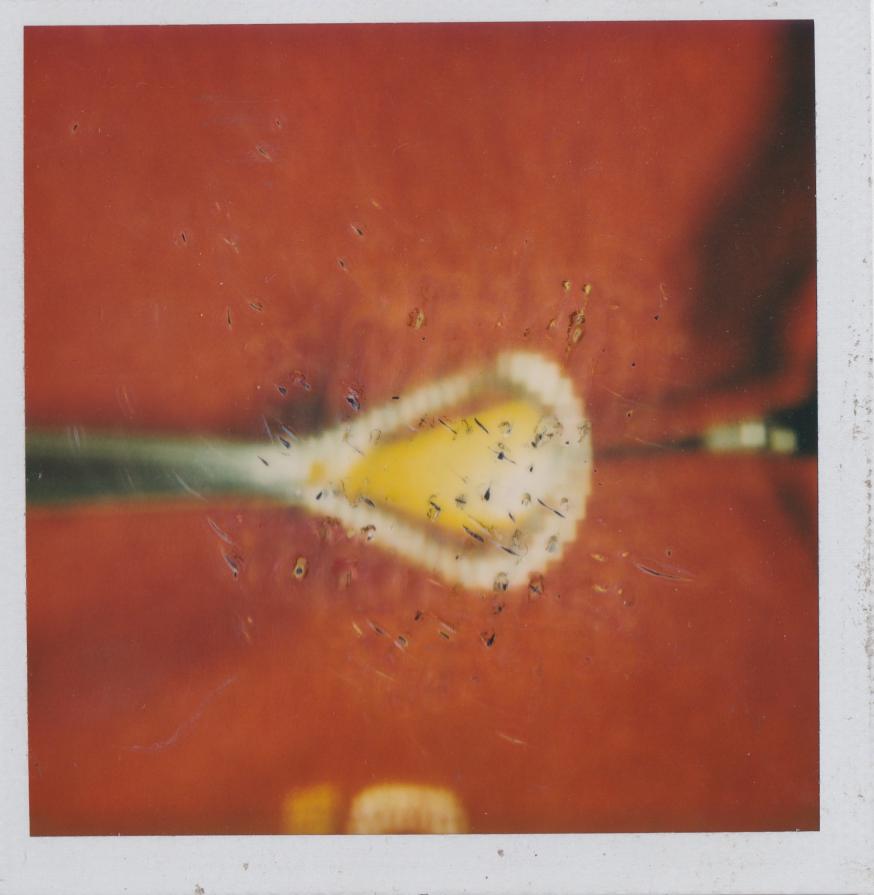 Red Polaroid 06