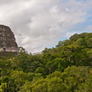 Guatemala. Tierras Mayas 2/2