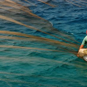 Traditional Fishing at Aegean Sea 