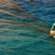 Traditional Fishing at Aegean Sea 