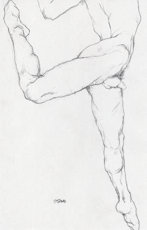 ballerino