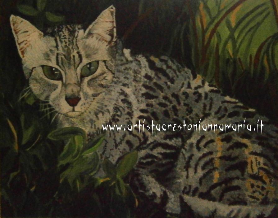 Egyptian Mau - Olio su Tela - 50 x 40 Tecnica Pennello anno 2012 