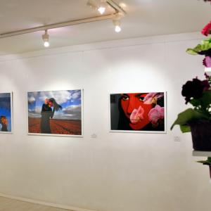 Szilvi Toth: FlowerPower Exhibition