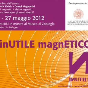 inUTILE magnETICO 12-27/05/12