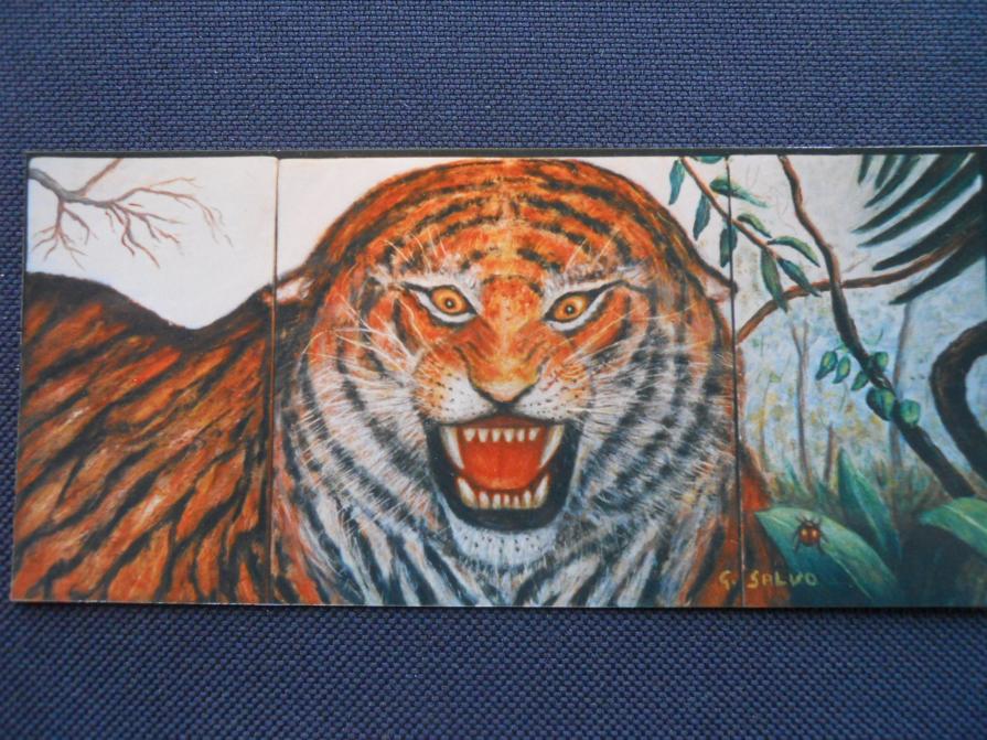 La tigre nel cassetto 