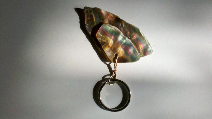 Tane Mahutua's Keyring