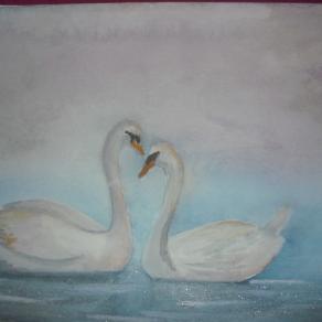 Swans Love