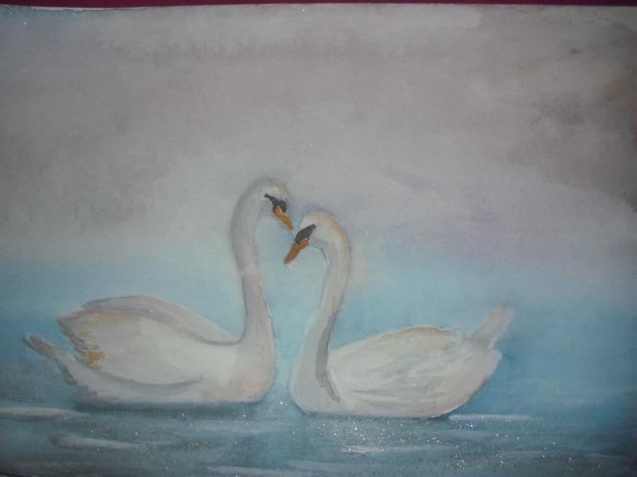 Swans Love