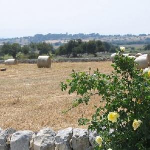 SICILY "EN PLEIN AIR" 2013, Landscape Painting Workshop