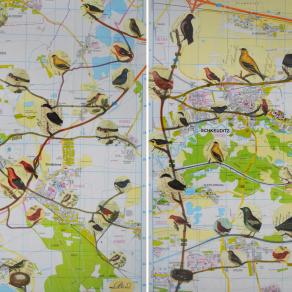 Birds and maps