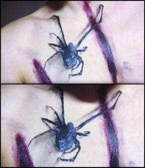 Spider