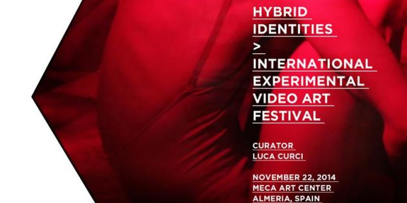 HYBRID IDENTITIES, Experimental video art show