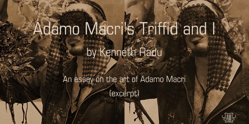 An excerpt from Kenneth Radu's essay 'Adamo Macri’s Triffid and I'