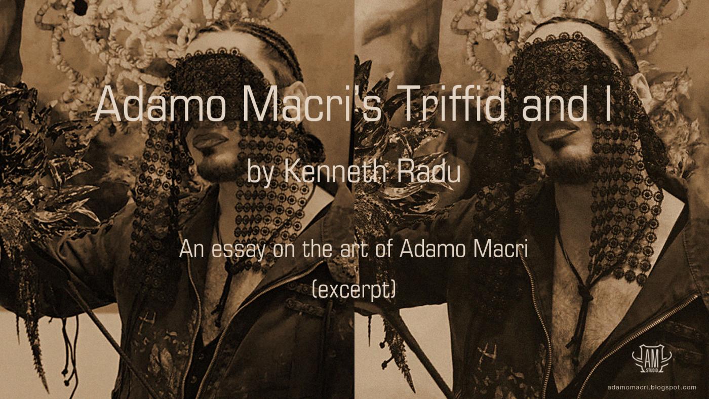 An excerpt from Kenneth Radu's essay 'Adamo Macri’s Triffid and I'