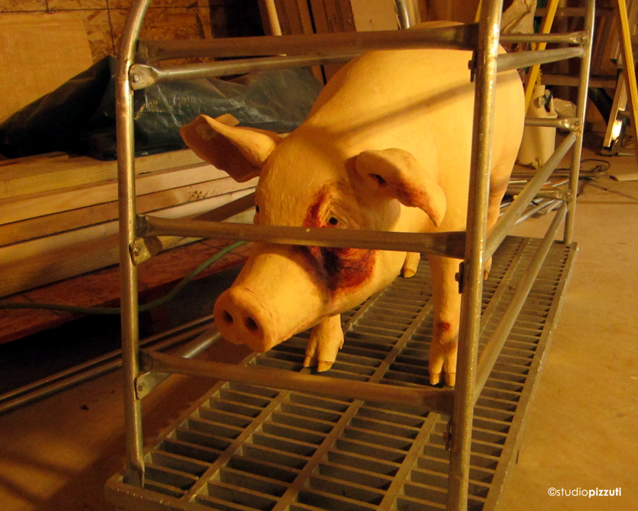 Factory Farm Pig