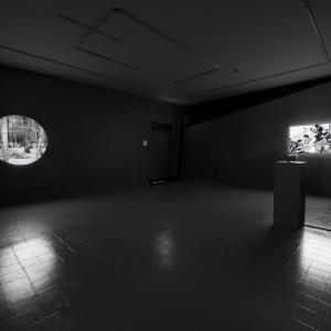 'Fugue' + 'Blink' video installation view, 2016