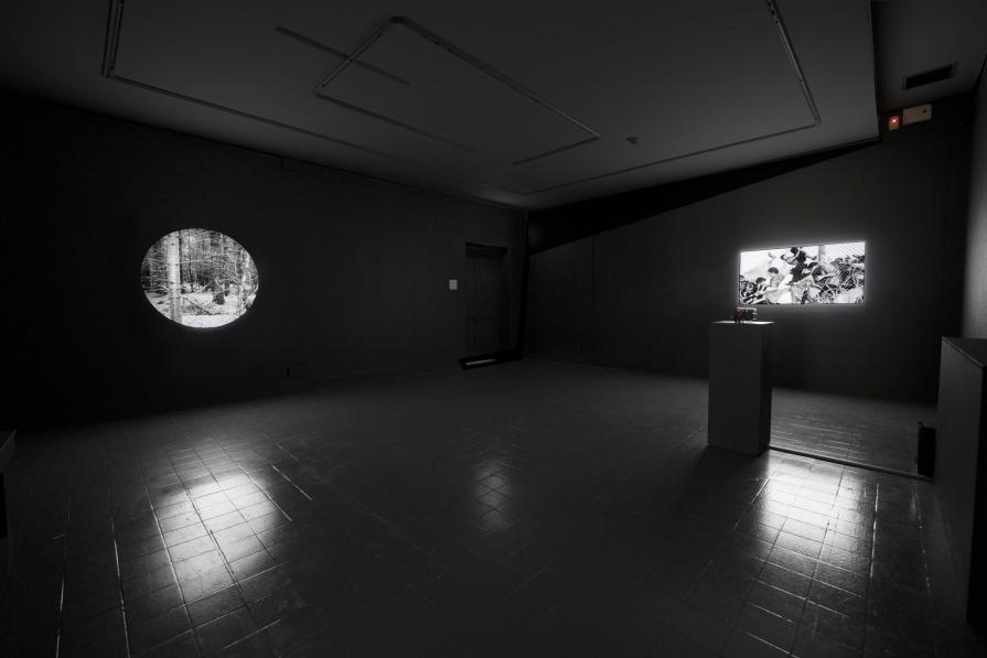 'Fugue' + 'Blink' video installation view, 2016