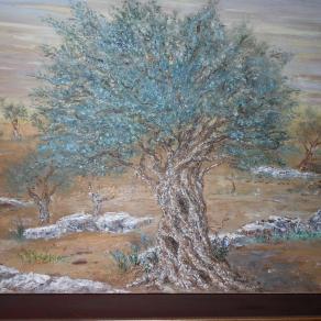 olive trees 