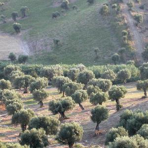 Italy. Calabria. Countryside