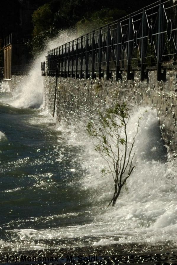 Onda sul lago II - Wave on the lake II