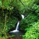 Cascata  Monteverde Costa rica