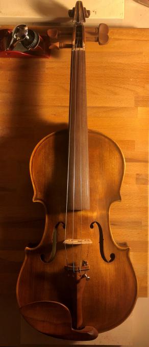 violino n°4 "david"