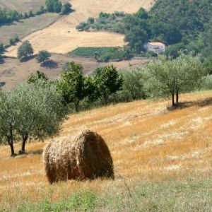 Italy. Basilicata. Potenza (2)