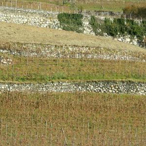 Italy. Trentino Alto Adige. Autumn colors