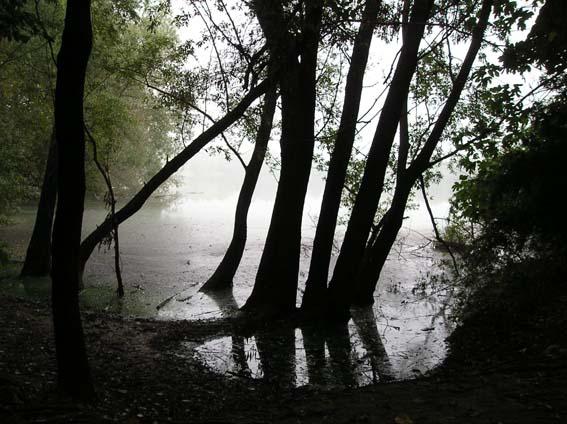 Cave  di Rubano 2