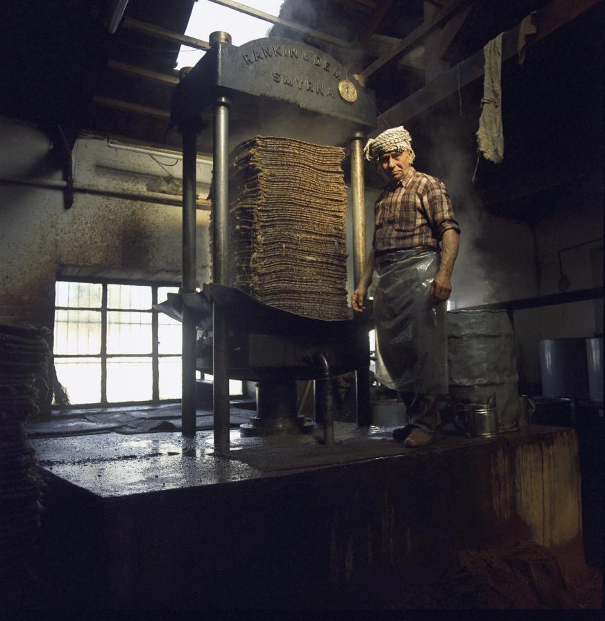 Portrait in front of Traditional Olive Oil Press